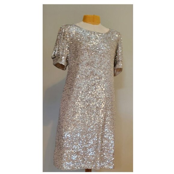 Cable & Gauge NWT Silver Champagne Sequin glittery dress - fabulous! Medium M - Picture 5 of 7
